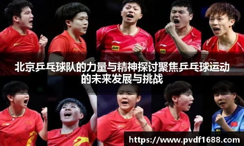北京乒乓球队的力量与精神探讨聚焦乒乓球运动的未来发展与挑战